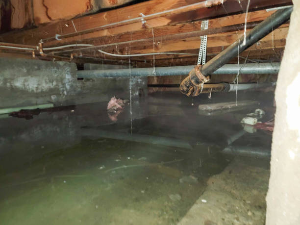 Professional Water damage restoration in Woods Creek, WA