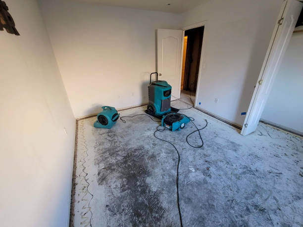 Best Commercial Water Damage Restoration in Woods Creek, WA